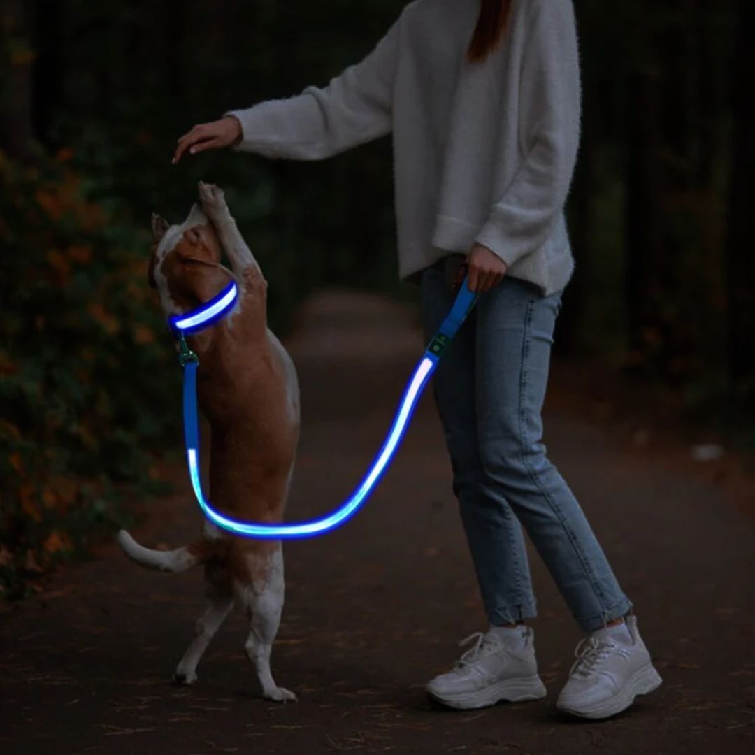 Emmalove - Leuchtende Hundeleine - - Emmalove - Leuchtende Hundeleine - € - - Concept Frankfurt