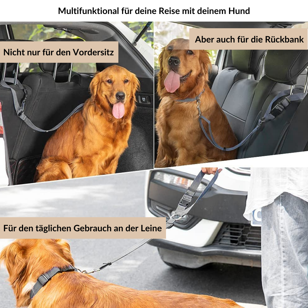 Emmalove - Sicherheitsleine für Hunde - - Emmalove - Sicherheitsleine für Hunde - € - - Concept Frankfurt