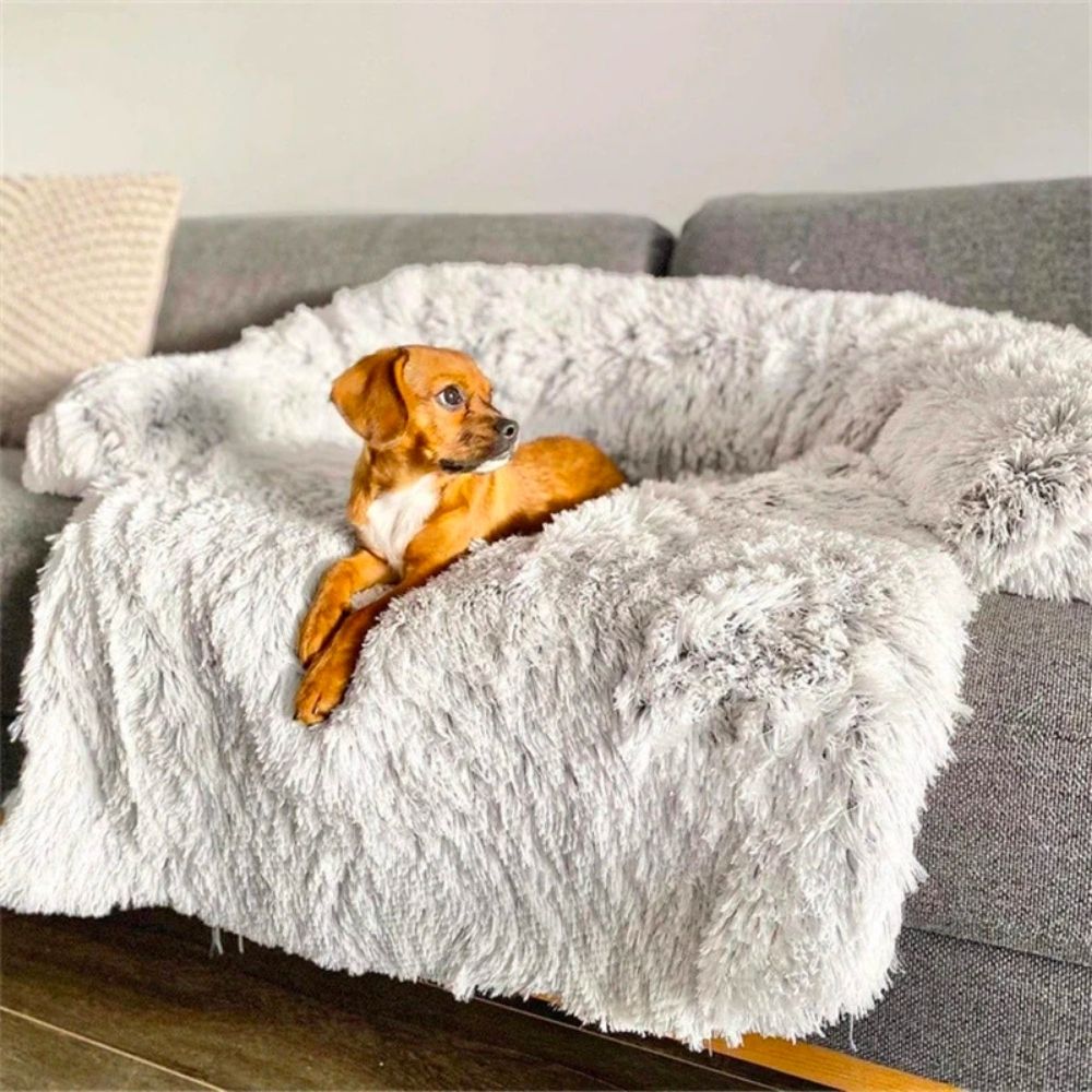 Emmalove - Flauschiges Hundebett für dein Sofa - - Emmalove - Flauschiges Hundebett für dein Sofa - € - - Concept Frankfurt