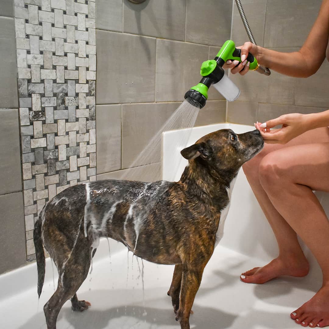 HydroPet™ | Dusche: Hochdruck, verstellbar und schaumfähig für einfaches Hundebaden. - - HydroPet™ | Dusche: Hochdruck, verstellbar und schaumfähig für einfaches Hundebaden - € - Tier - Concept Frankfurt