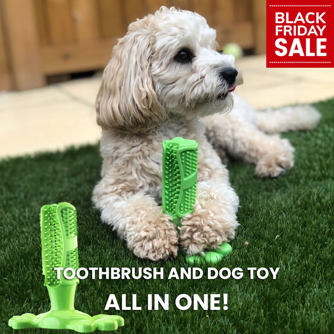 BlissTeeth™ | Hundespielzeug und Zahnbürste in einem - - BlissTeeth™ | Hundespielzeug und Zahnbürste in einem - € - sale-product - Concept Frankfurt