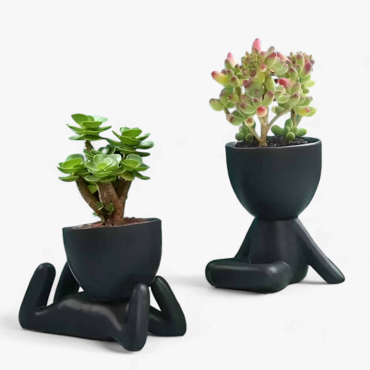 Nordic Keramik Sukkulenten-Figur-Blumentopf - - Ceramic Desktop Flower/Green Plant FYS0385 Mainland China Modern Style No Nursery Pots - Concept Frankfurt